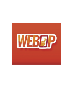 WEBOP-CH1 - WEBOP-CH1-MCDI SECURITY PRODUCTS, INC-Licencia, Modulo acceso Web local o remota  para operadores del Software de Monitoreo Securithor v 2.0 - Relematic.mx - WEBOPCH1-p