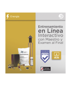 EXPERT-TG1-VIRTUAL-TOTAL GROUND-Certificación Virtual en Tierras Físicas y Pararrayos Total Ground (Válida Ante Secretaría del Trabajo)
