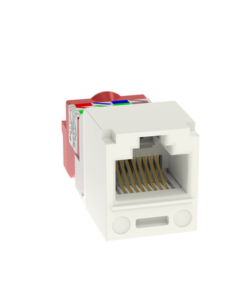 CJ5E88TIW-PANDUIT-Conector Jack RJ45 Estilo T, Mini-Com, Categoría 5e, de 8 posiciones y 8 cables, Color Blanco Mate